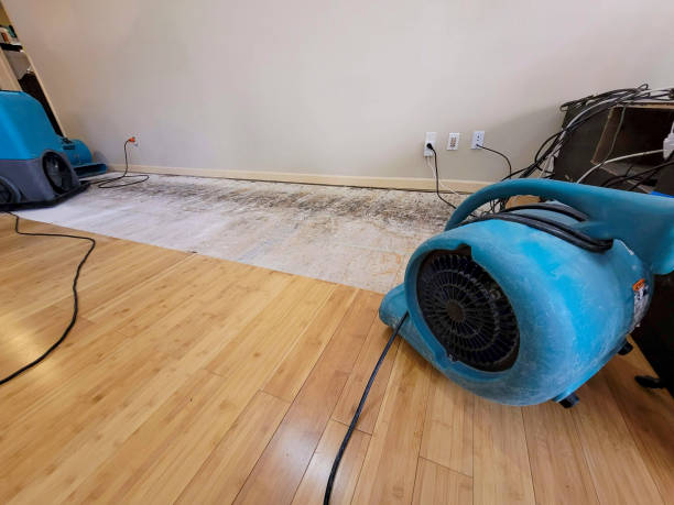 Professional Flood Damage Cleanup technician working in East Taunton, MA
